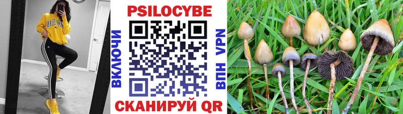 Галлюциногенные грибы Psilocybe  Вихоревка 